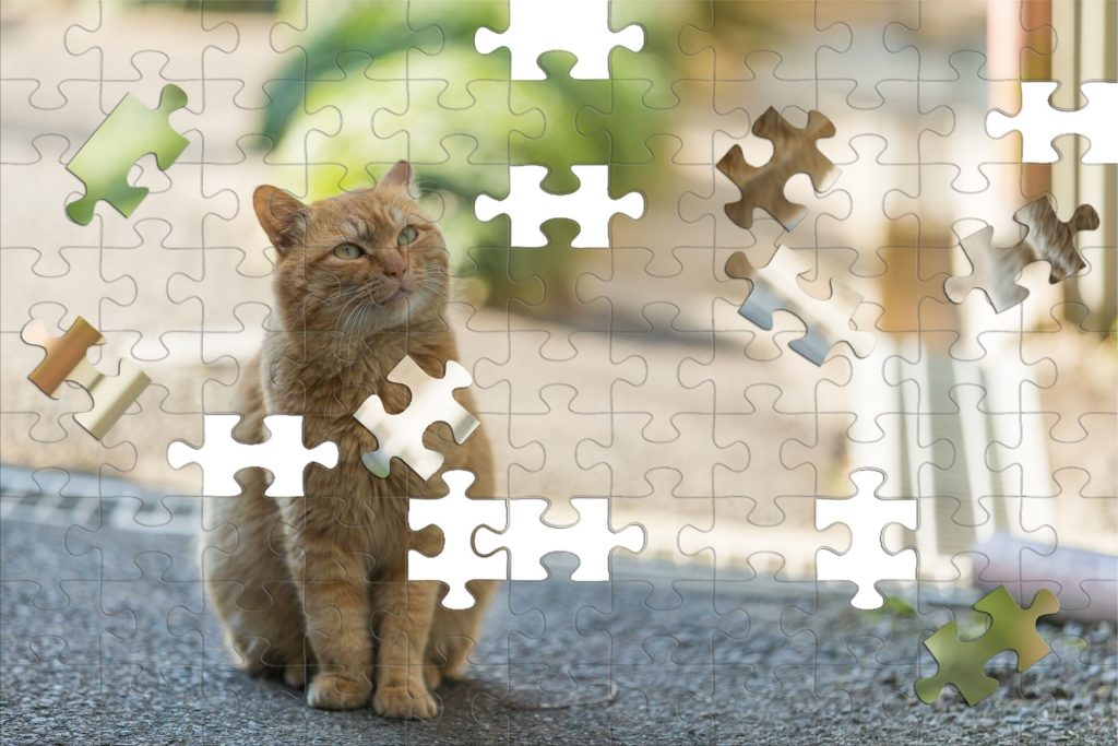 ネコのパズル