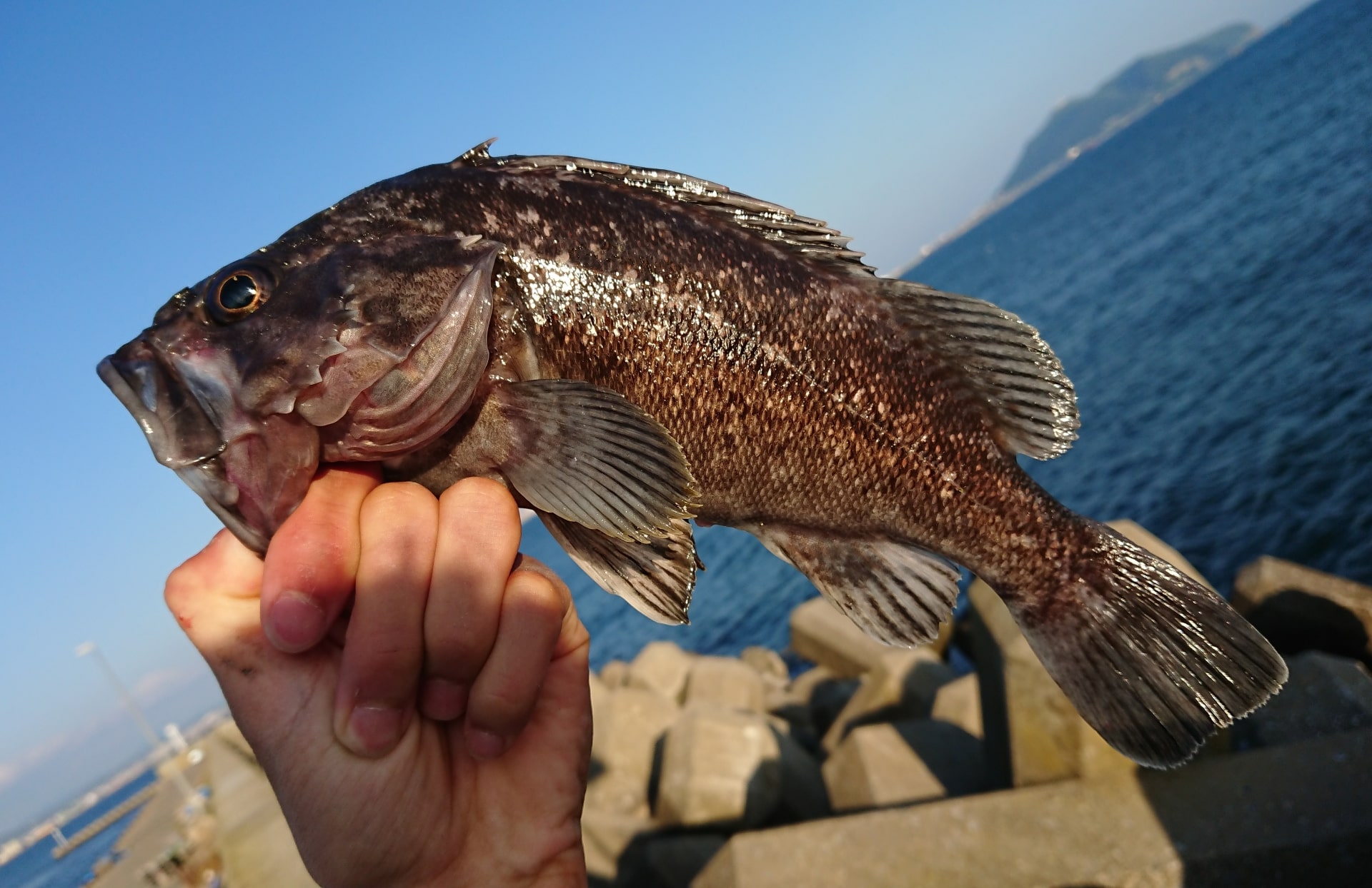 定年後 老後の趣味として釣りを始めよう シニアから始める海釣りのすすめ シニアいきいき情報局